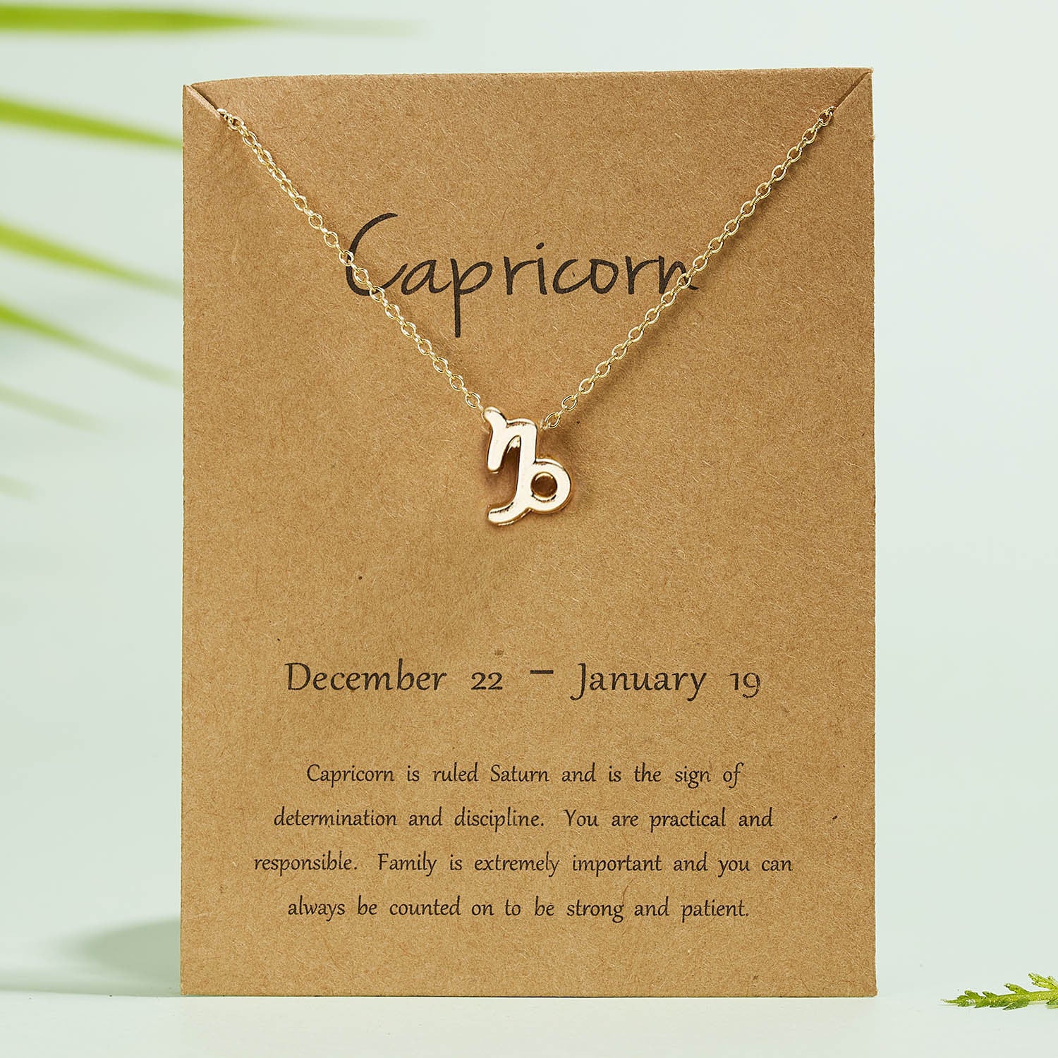 All 12 zodiac signs Chain with Card