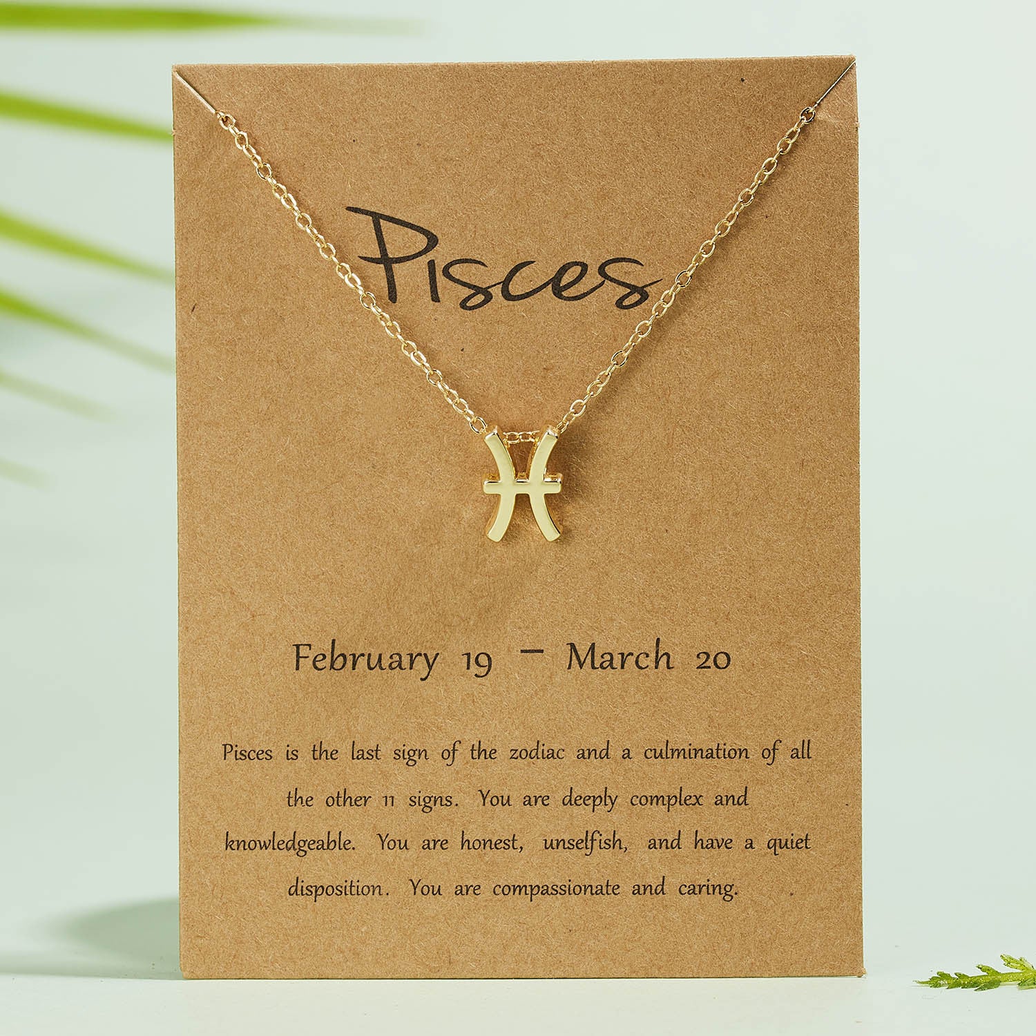 All 12 zodiac signs Chain with Card